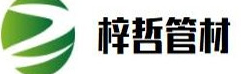 大玩家app下载